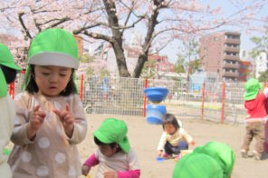 お外遊びの写真